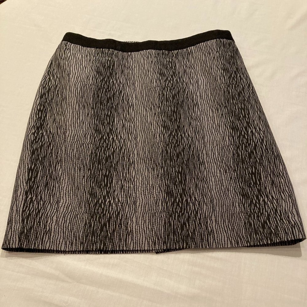 Ann Taylor Skirt